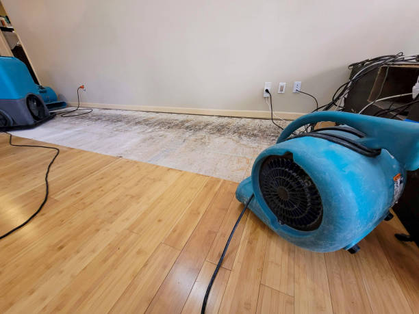Professional Burst Pipe Water Damage technician working in Lemoore, CA